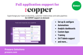 provide expert doneforyou copper CRM setup for sales team