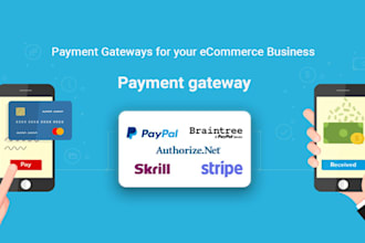 integrate payment stripe, paypal or others in 24 hours