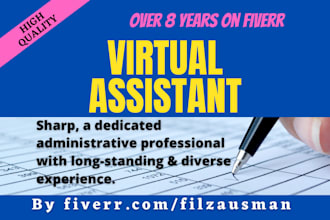 be your professional virtual assistant