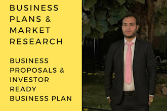 write a proficient business plan, proposal for investor