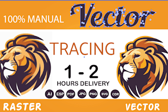 redraw image to vector illustration, line art, outline