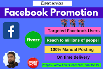 promote any business in USA by facebook marketing