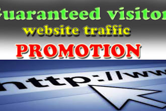 drive millions of traffic to your business