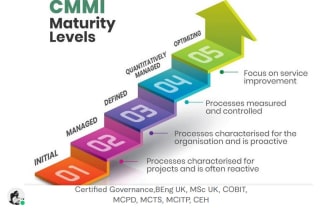 perform process improvement and assessment cmmi business