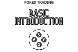create a whiteboard animation video on forex trading