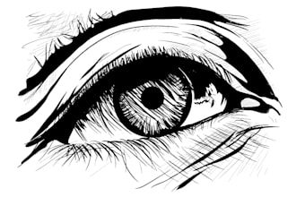 draw black and white detailed line art vector illustration