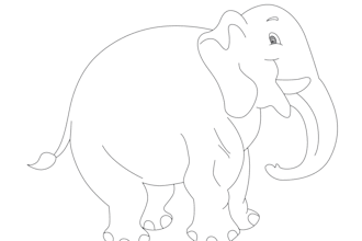 5 dollar tracing  vector and  raster