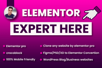be an elementor expert on wordpress blogs or business websites