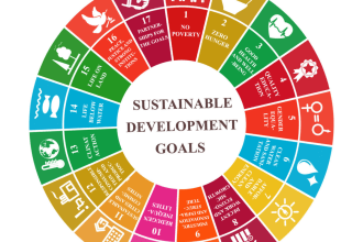 provide sustainable environment, sdg  research content