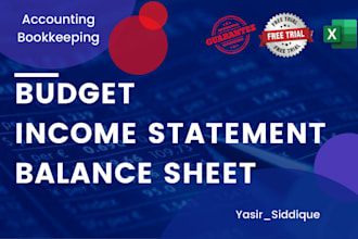 prepare profit loss, income statement, balance sheet, budget