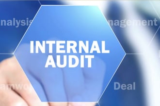 do internal audit gap analysis and specialized investigations