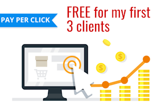 manage and optimize amazon advertising PPC campaign