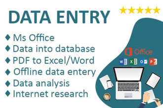 do data entry typing work in an excel, word, and spreadsheet
