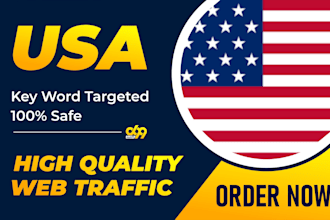 drive USA targeted daily traffic to your website