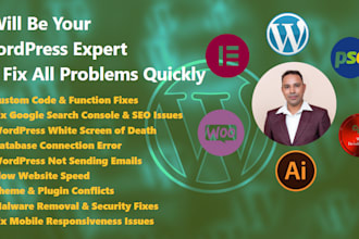 quickly fix wordpress theme  plugin issues