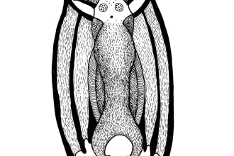 create children s book illustrations in pen and ink