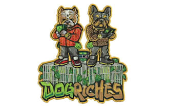 do embroidery digitizing into dst,pes file in 1 hour