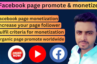 do organic facebook page promotion successfully