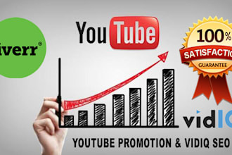 do organic youtube promotion and video SEO for first page ranking