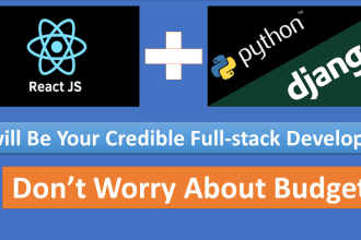 be your react, python django api developer