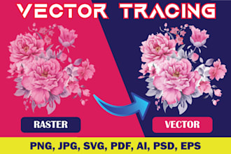 do manually vector tracing, raster to vector, image redraw