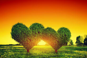 remove heart wall and trapped emotions