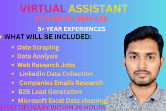 do data entry, copy paste, product listing, typing work, excel data entry