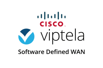 provide viptela sdwan design, implementation and troubleshooting