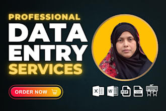 do fastest data entry excel, internet research, data mining assistant
