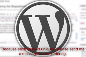 provide you with unsurpassed Wordpress support with my years of expertise, from SEO, to themes, to problems you are having, all