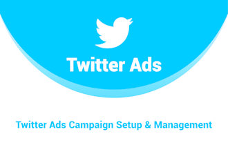 setup your twitter ads campaign and organic promotion marketing
