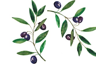 create botanical watercolor illustration for you