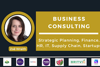 do business consulting and strategic planning