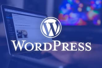 help you to create a full wordpress  website