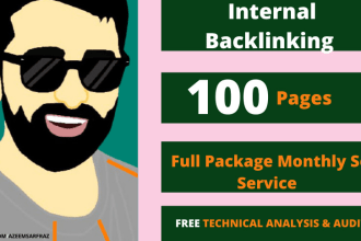 do monthly full SEO package internal backlinking for wordpess blogs or other cms