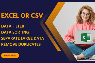 do ms excel or CSV data sorting, separate large data, remove duplicate