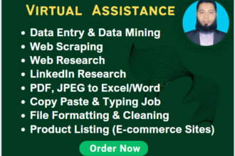 do data entry, mining, copy paste, web research
