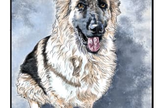 draw your pet portrait illustration