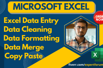 do excel data entry, merge, cleanup formatting, vlookup, macro