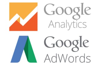 fix or help you with google ads or ga dynamic remarketing