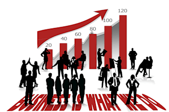 expert excel automation vba power bi query specialist