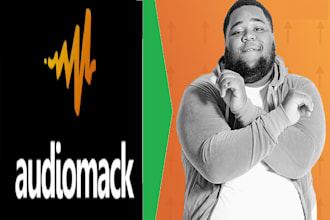 do massive audiomack promotion to worldwide real audience