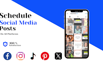 design and schedule your posts on facebook and instagram