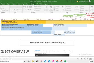 make ms project  gantt chart and project plans