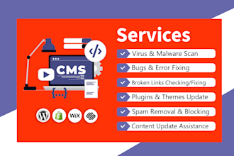 do website maintenance, bug fixing, updates, and virus scans