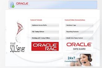 give database consultancy oracle and mssql