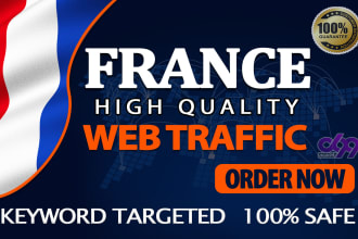 drive france targeted daily visitors to your website