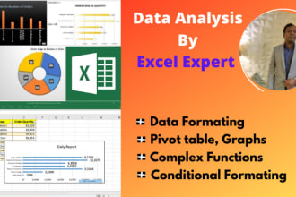 be your data analyst, excel dashboard and visualization expert