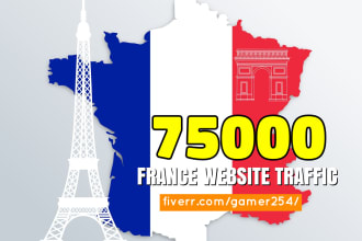 deliver france organic web traffic