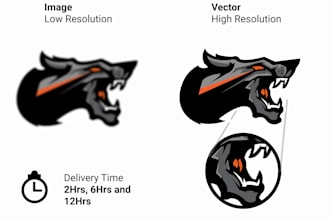do vector tracing for your images
